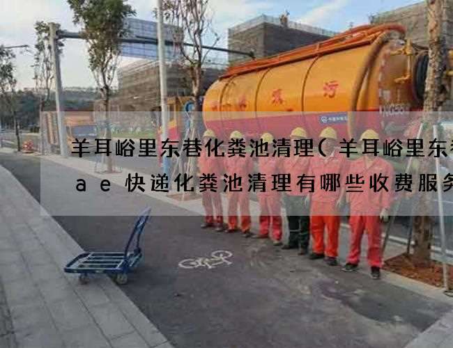 羊耳峪里东巷化粪池清理(羊耳峪里东巷aae快递化粪池清理有哪些收费服务) 羊耳峪里东巷化粪池清理(羊耳峪里东巷aae快递化粪池清理有哪些收费服务)