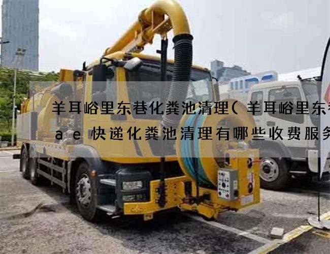羊耳峪里东巷化粪池清理(羊耳峪里东巷aae快递化粪池清理有哪些收费服务) 羊耳峪里东巷化粪池清理(羊耳峪里东巷aae快递化粪池清理有哪些收费服务)