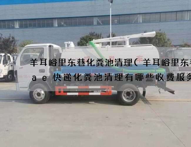 羊耳峪里东巷化粪池清理(羊耳峪里东巷aae快递化粪池清理有哪些收费服务) 羊耳峪里东巷化粪池清理(羊耳峪里东巷aae快递化粪池清理有哪些收费服务)