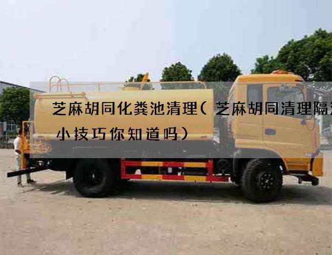 芝麻胡同化粪池清理(芝麻胡同清理隔油池小技巧你知道吗)