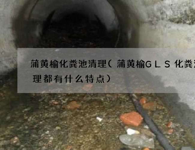 蒲黄榆化粪池清理(蒲黄榆GLS化粪池清理都有什么特点) 蒲黄榆化粪池清理(蒲黄榆GLS化粪池清理都有什么特点)