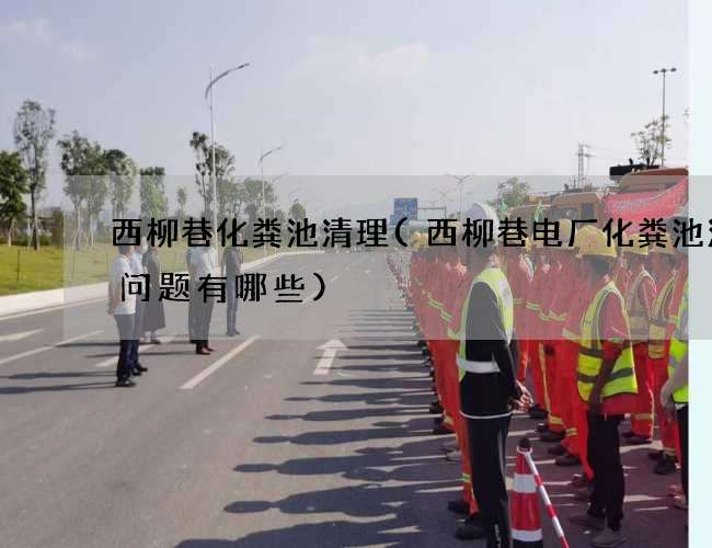 西柳巷化粪池清理(西柳巷电厂化粪池清理问题有哪些) 西柳巷化粪池清理(西柳巷电厂化粪池清理问题有哪些)