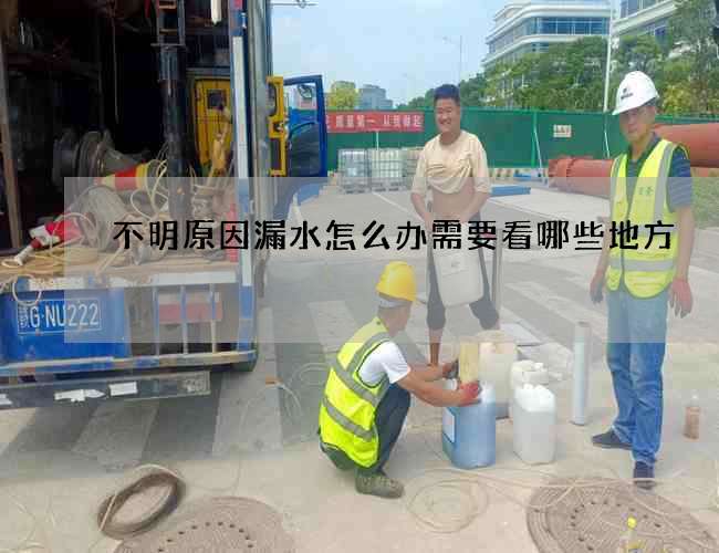 不明原因漏水怎么办需要看哪些地方 不明原因漏水怎么办需要看哪些地方