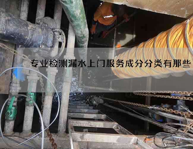 专业检测漏水上门服务成分分类有那些 专业检测漏水上门服务成分分类有那些