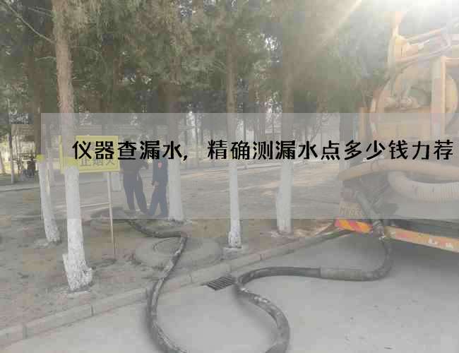 仪器查漏水,精确测漏水点多少钱力荐 仪器查漏水,精确测漏水点多少钱力荐