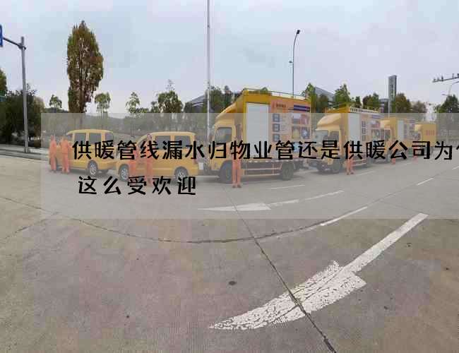 供暖管线漏水归物业管还是供暖公司为什么这么受欢迎 供暖管线漏水归物业管还是供暖公司为什么这么受欢迎