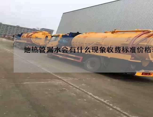 地热管漏水会有什么现象收费标准价格表