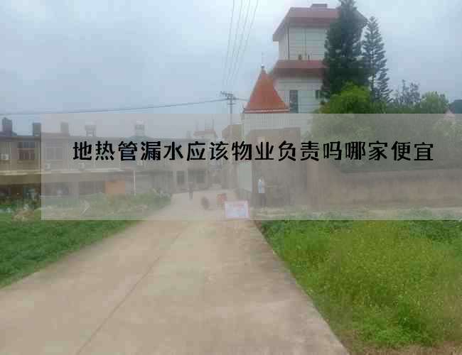 地热管漏水应该物业负责吗哪家便宜