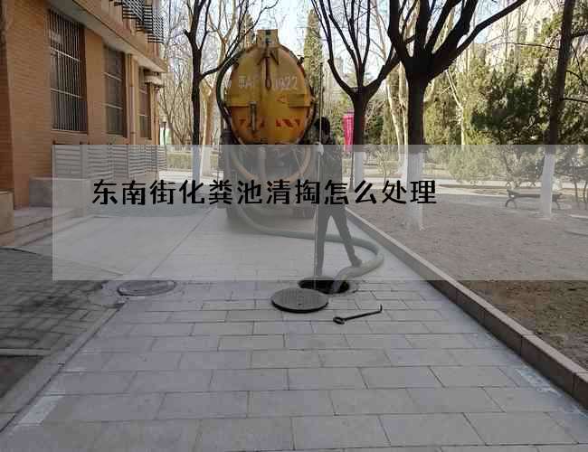 东南街化粪池清掏怎么处理?