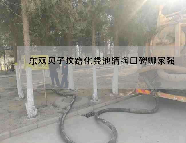 东双贝子坟路化粪池清掏口碑哪家强