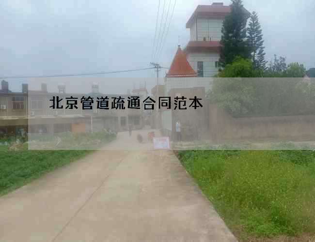北京管道疏通合同范本