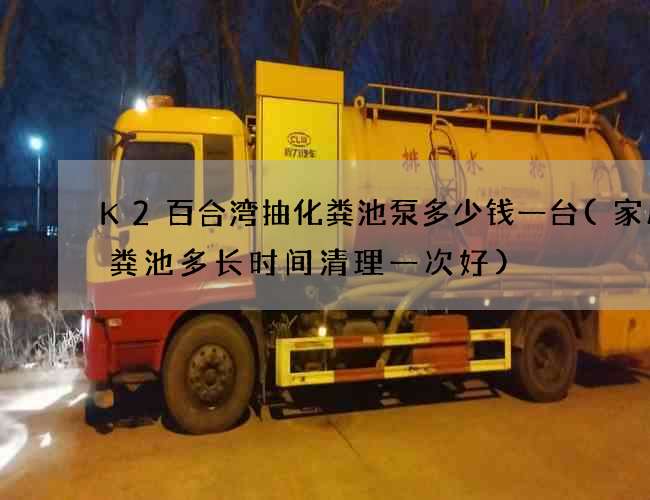 K2百合湾抽化粪池泵多少钱一台(家用化粪池多长时间清理一次好)