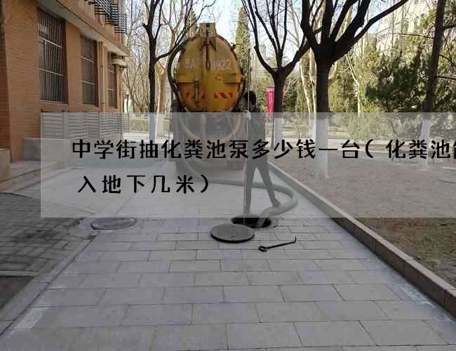 中学街抽化粪池泵多少钱一台(化粪池能渗入地下几米)