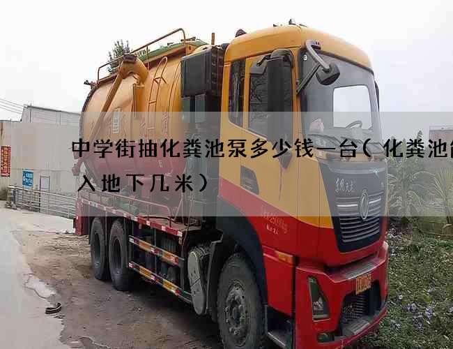 中学街抽化粪池泵多少钱一台(化粪池能渗入地下几米)