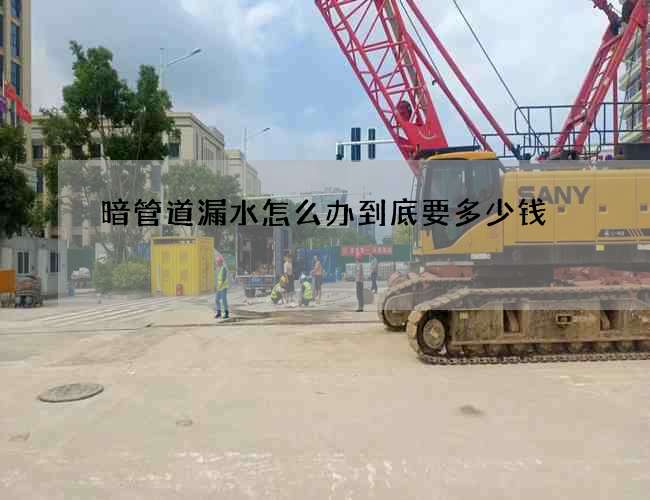 暗管道漏水怎么办到底要多少钱 暗管道漏水怎么办到底要多少钱