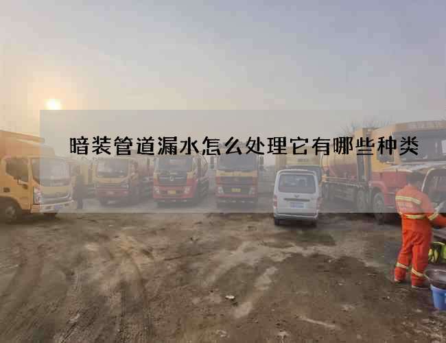 暗装管道漏水怎么处理它有哪些种类? 暗装管道漏水怎么处理它有哪些种类?