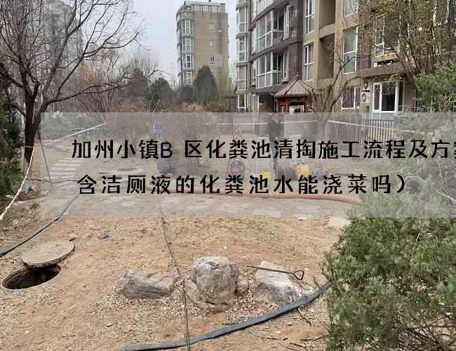 加州小镇B区化粪池清掏施工流程及方案(含洁厕液的化粪池水能浇菜吗)