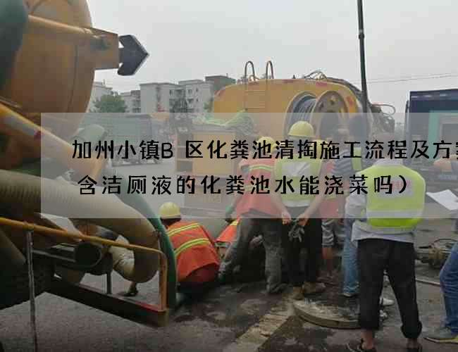 加州小镇B区化粪池清掏施工流程及方案(含洁厕液的化粪池水能浇菜吗)