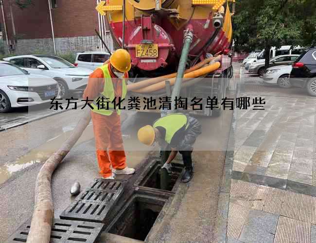 东方大街化粪池清掏名单有哪些