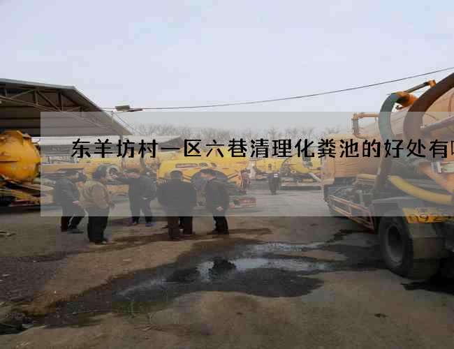 东羊坊村一区六巷清理化粪池的好处有哪些 东羊坊村一区六巷清理化粪池的好处有哪些