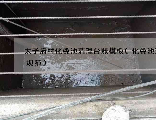太子府村化粪池清理台账模板(化粪池清掏规范)