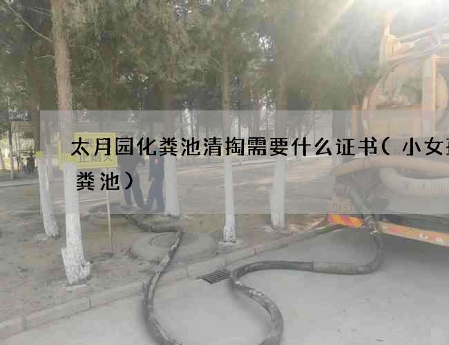 太月园化粪池清掏需要什么证书(小女孩化粪池)