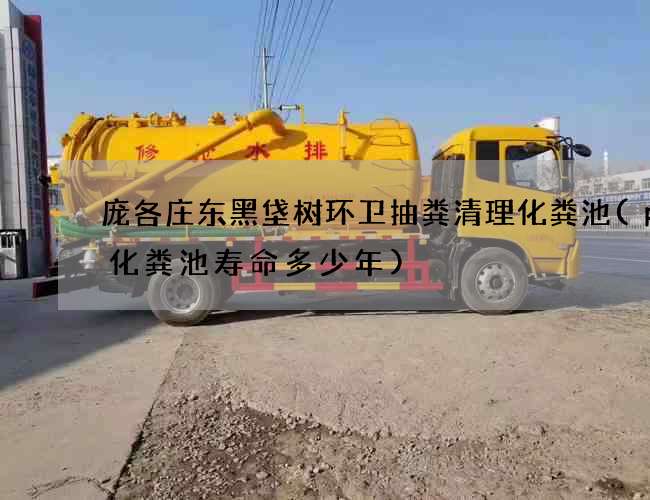 庞各庄东黑垡树环卫抽粪清理化粪池(pe化粪池寿命多少年) 庞各庄东黑垡树环卫抽粪清理化粪池(pe化粪池寿命多少年)