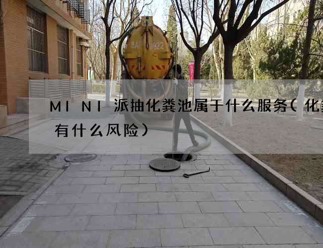 MINI派抽化粪池属于什么服务(化粪池有什么风险)