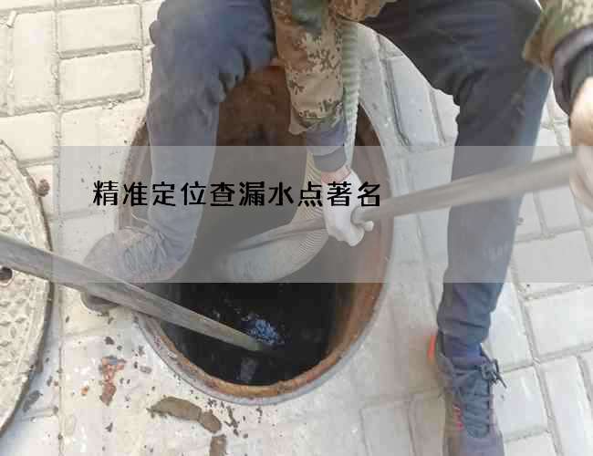 精准定位查漏水点著名 精准定位查漏水点著名