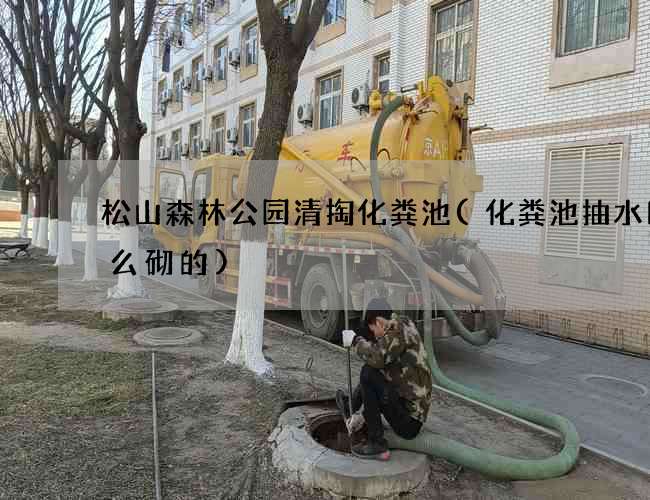 松山森林公园清掏化粪池(化粪池抽水口怎么砌的)