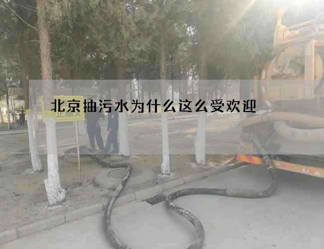 北京抽污水为什么这么受欢迎 北京抽污水为什么这么受欢迎