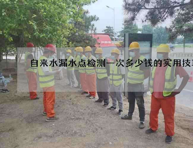 自来水漏水点检测一次多少钱的实用技巧 自来水漏水点检测一次多少钱的实用技巧
