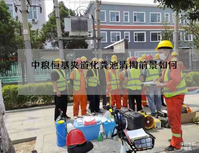 中粮恒基夹道化粪池清掏前景如何