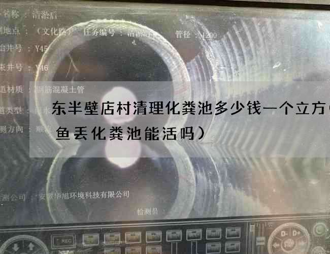 东半壁店村清理化粪池多少钱一个立方(鲶鱼丢化粪池能活吗)