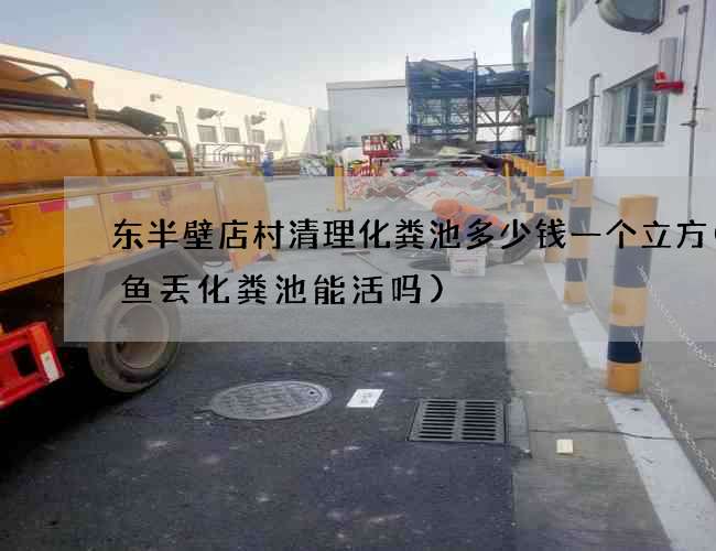 东半壁店村清理化粪池多少钱一个立方(鲶鱼丢化粪池能活吗)