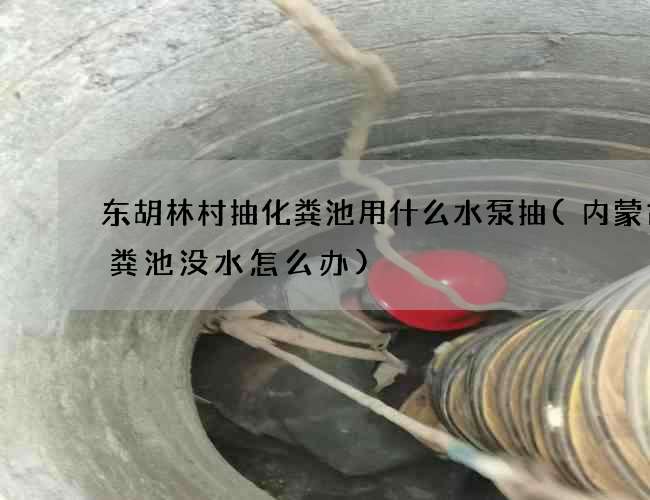 东胡林村抽化粪池用什么水泵抽(内蒙古化粪池没水怎么办)