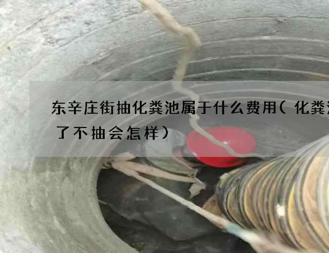 东辛庄街抽化粪池属于什么费用(化粪池满了不抽会怎样)