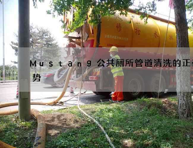 Mustang公共厕所管道清洗的正确姿势 Mustang公共厕所管道清洗的正确姿势