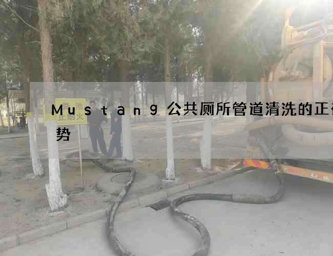 Mustang公共厕所管道清洗的正确姿势 Mustang公共厕所管道清洗的正确姿势