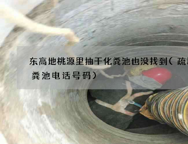 东高地桃源里抽干化粪池也没找到(疏通化粪池电话号码) 东高地桃源里抽干化粪池也没找到(疏通化粪池电话号码)
