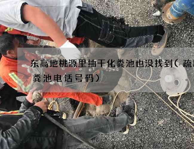 东高地桃源里抽干化粪池也没找到(疏通化粪池电话号码) 东高地桃源里抽干化粪池也没找到(疏通化粪池电话号码)