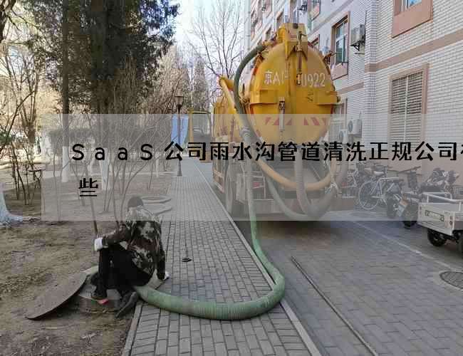 SaaS公司雨水沟管道清洗正规公司有哪些 SaaS公司雨水沟管道清洗正规公司有哪些