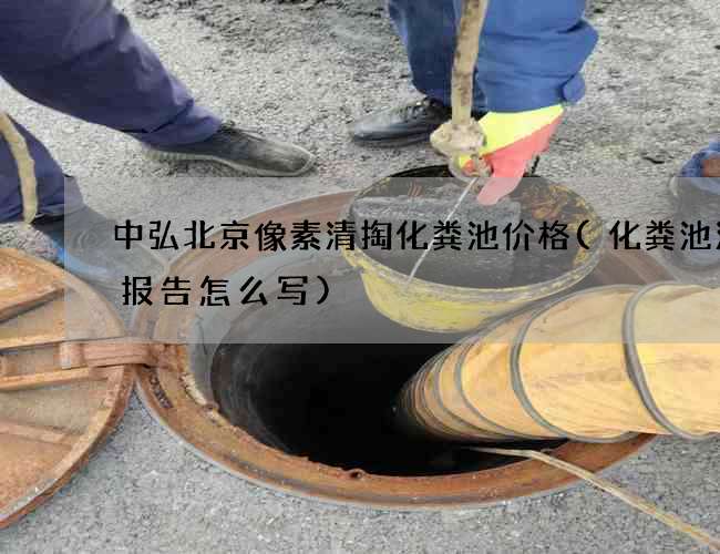 中弘北京像素清掏化粪池价格(化粪池清理报告怎么写)