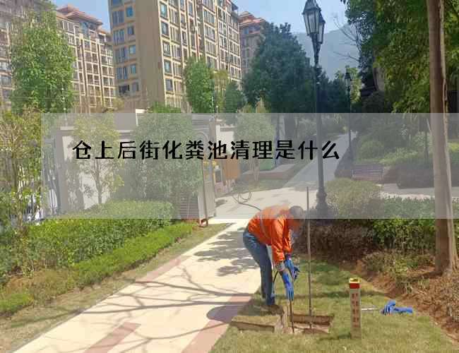 仓上后街化粪池清理是什么