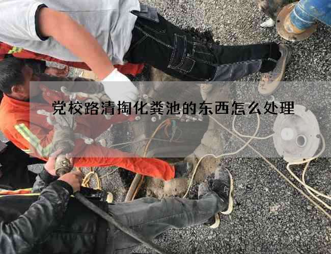 党校路清掏化粪池的东西怎么处理 党校路清掏化粪池的东西怎么处理