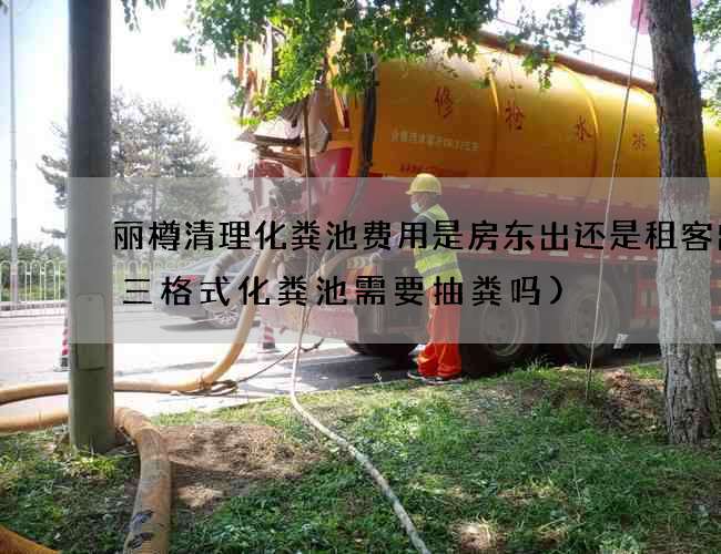 丽樽清理化粪池费用是房东出还是租客出(三格式化粪池需要抽粪吗)
