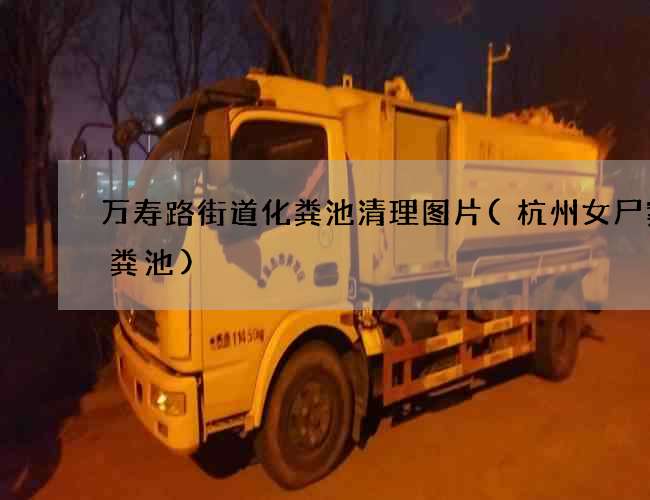 万寿路街道化粪池清理图片(杭州女尸案化粪池)