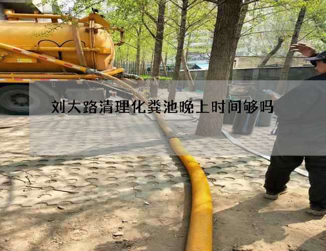 刘大路清理化粪池晚上时间够吗