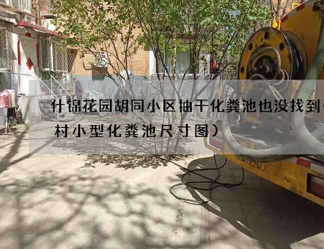 什锦花园胡同小区抽干化粪池也没找到(农村小型化粪池尺寸图)