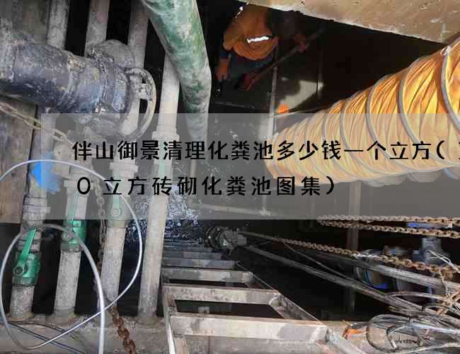 伴山御景清理化粪池多少钱一个立方(100立方砖砌化粪池图集)